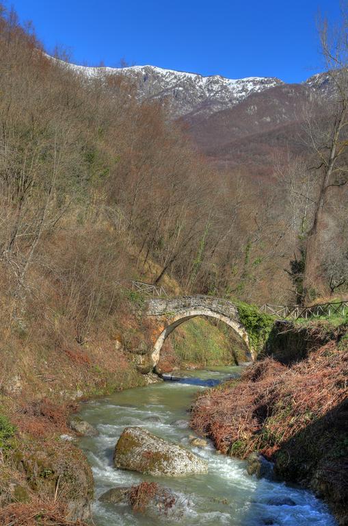 Agriturismo Dai Marchesin Nasino Екстер'єр фото